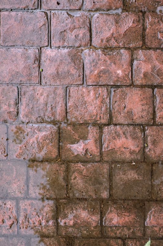 Decorative Concrete Repair in Fort Collins, CO